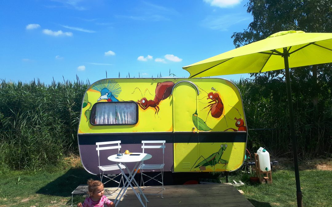 ter drucht mini camping den bosch