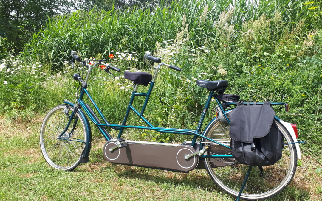 groene mini camping Gewande 's-Hertogenbosch